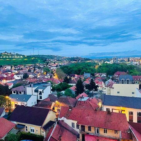 Popa Angela Apartment Oradea Bagian luar foto